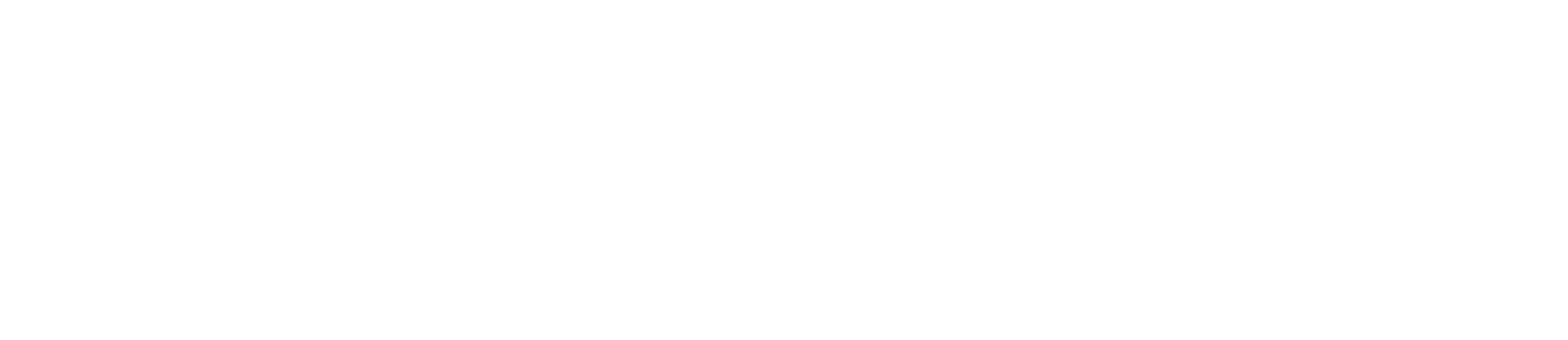 L&S IP HOUSE